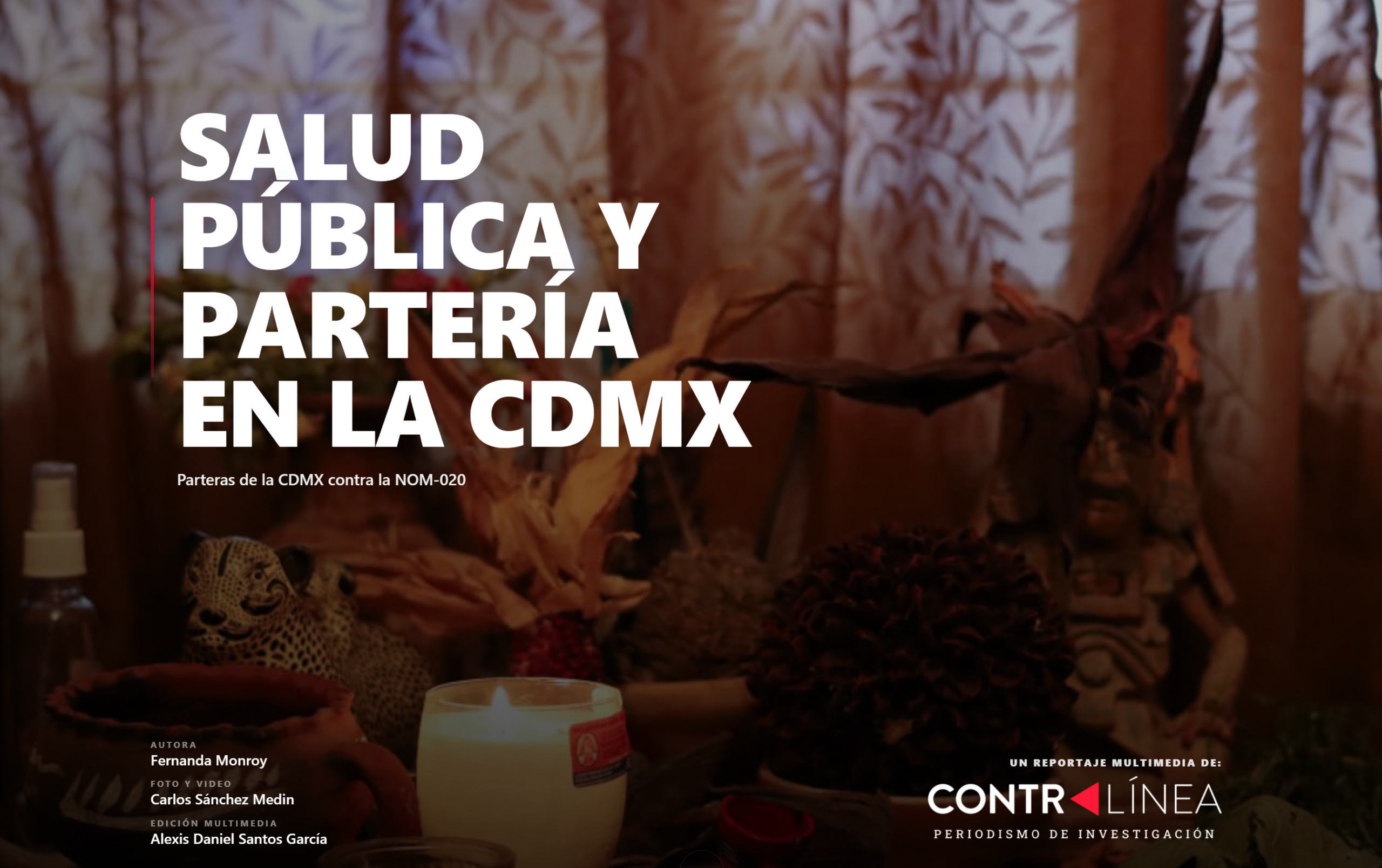 Reportaje Multimedia Contralínea